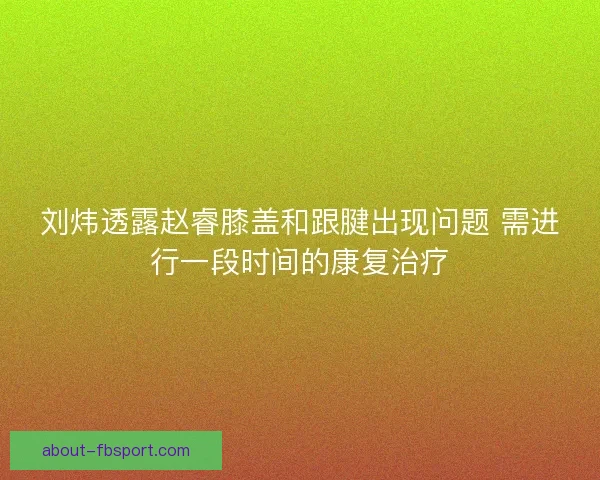 刘炜透露赵睿膝盖和跟腱出现问题 需进行一段时间的康复治疗